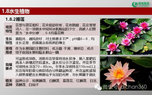 绿城集团园林软景苗木图谱 全套